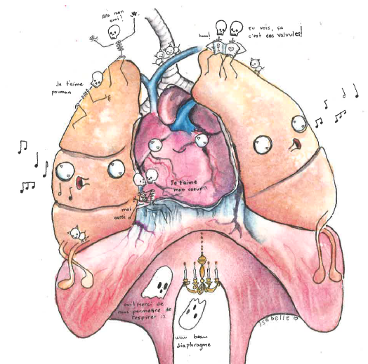  5325 - Compétence 14 - Systèmes cardiovasculaire et respiratoire (DIS)