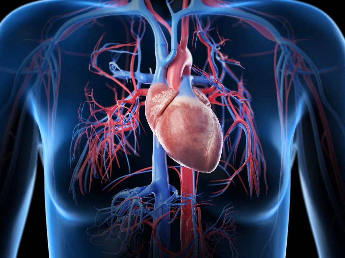 Compétence 14 - Systèmes cardiovasculaire et resp 5325 - Compétence 14 - Systèmes cardiovasculaire et respiratoire (NOJ)