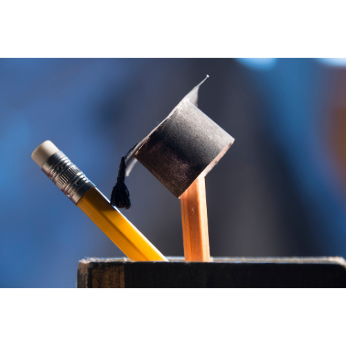 4232- Compétence 1: Profession et contexte d'intervention