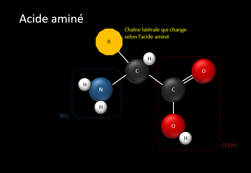 Description