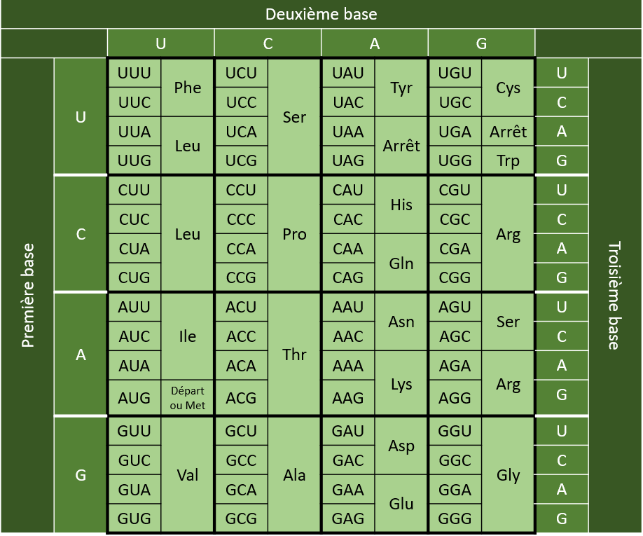 Description