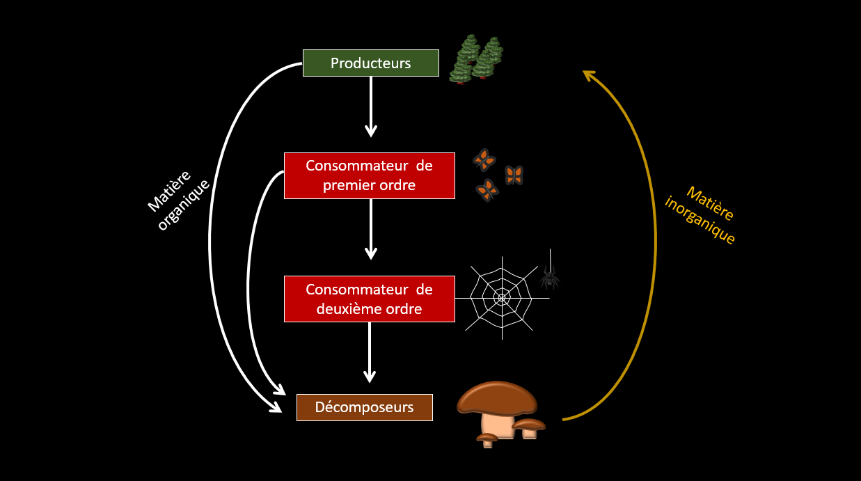 Description