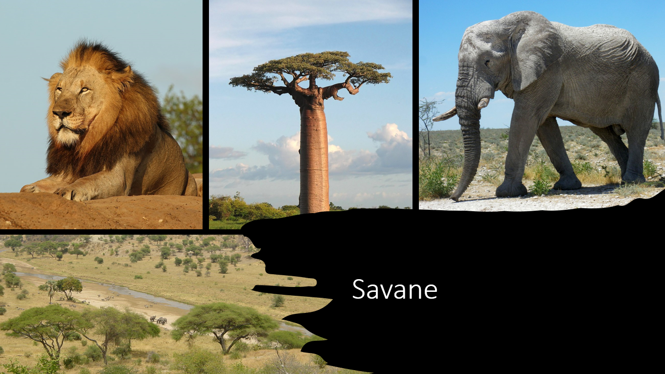 Description