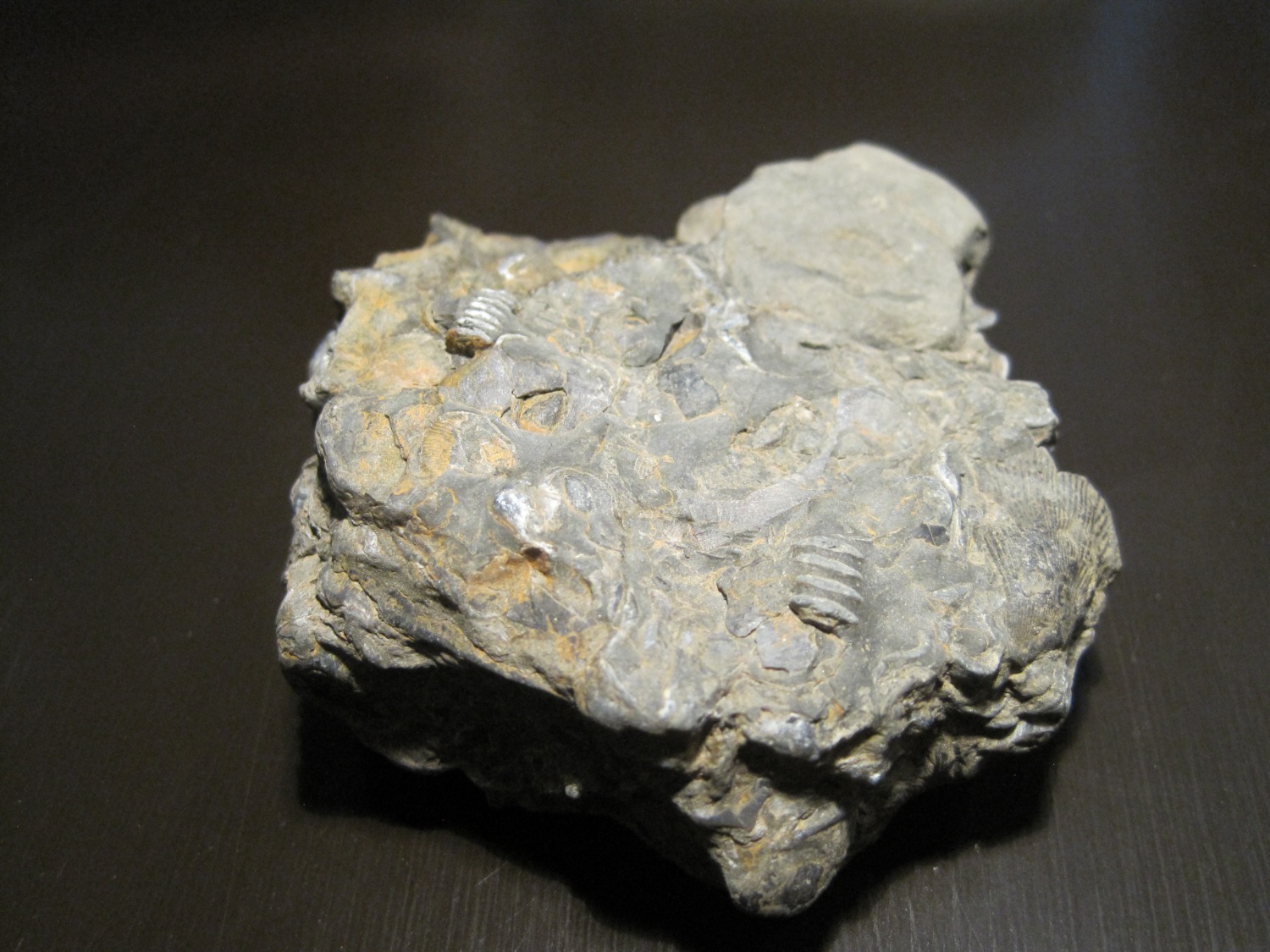 Description