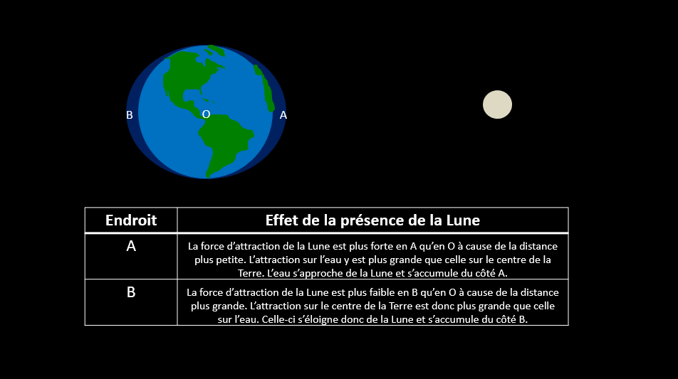 Description