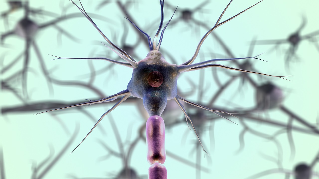 5325 - Compétence 12 - Procédés de soins et systèmes nerveux et sensoriels - (DEKI)