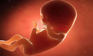  5325 - Compétence 27 - Intervention auprès d'une mère et de son nouveau né KAB